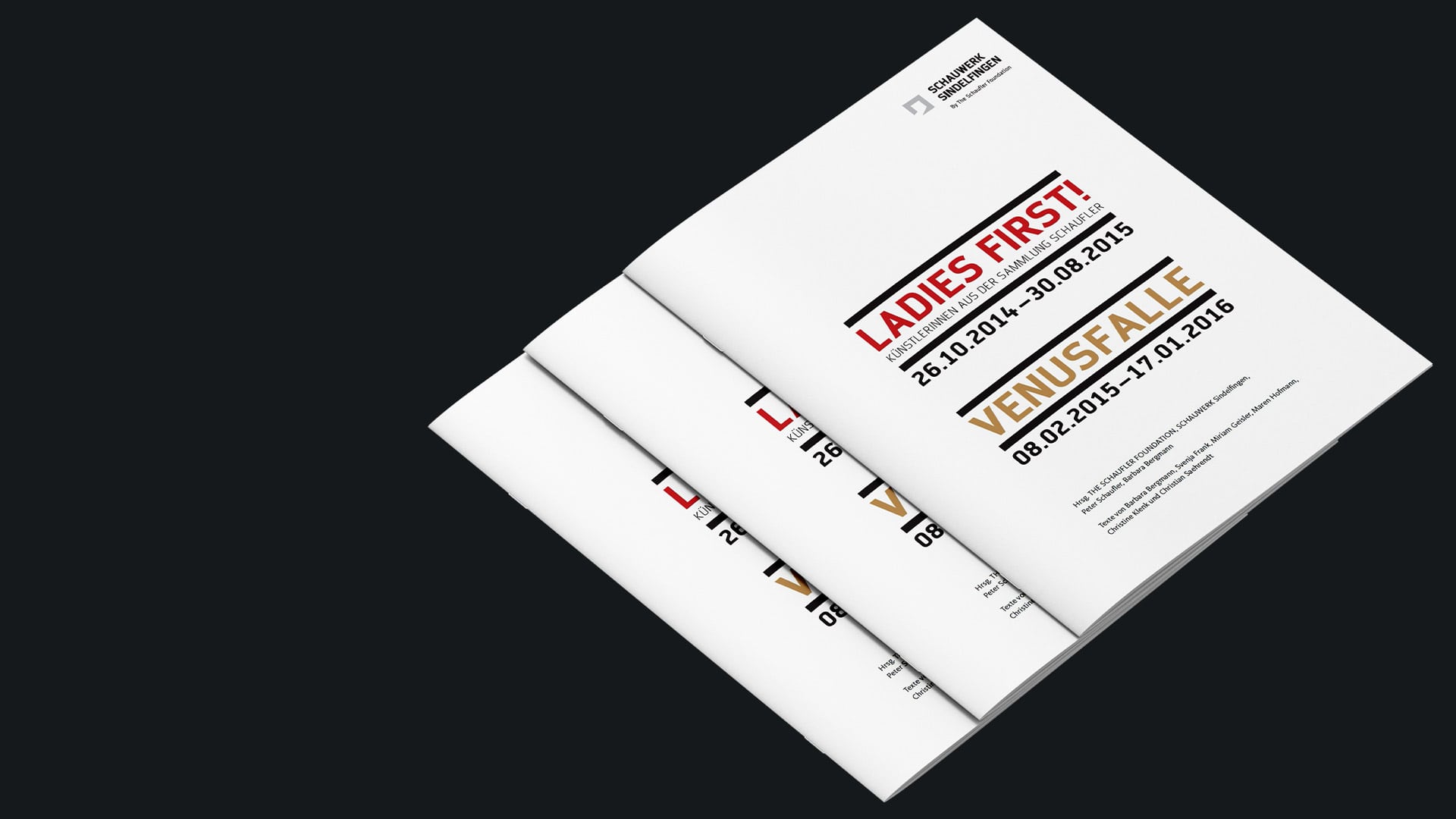 SAHARA Werbeagentur Referenz Schauwerk